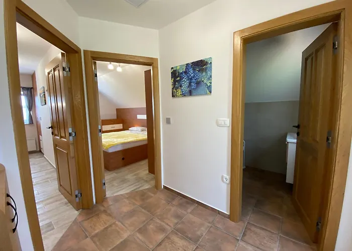 Vineyard Joanna Mirna Pec